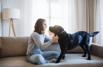 BRW | Privatlösung |Haustier Versicherung| Frau mit Hund im Wohnzimmer mit Hausrat-,Gebäude-und Immobilienrecht-Versicherung
